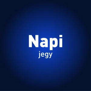 Napi jegy